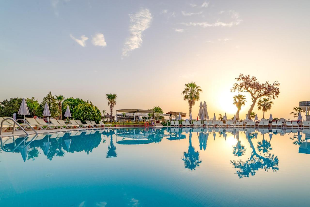 أرماس جول بيتش كمر المظهر الخارجي الصورة